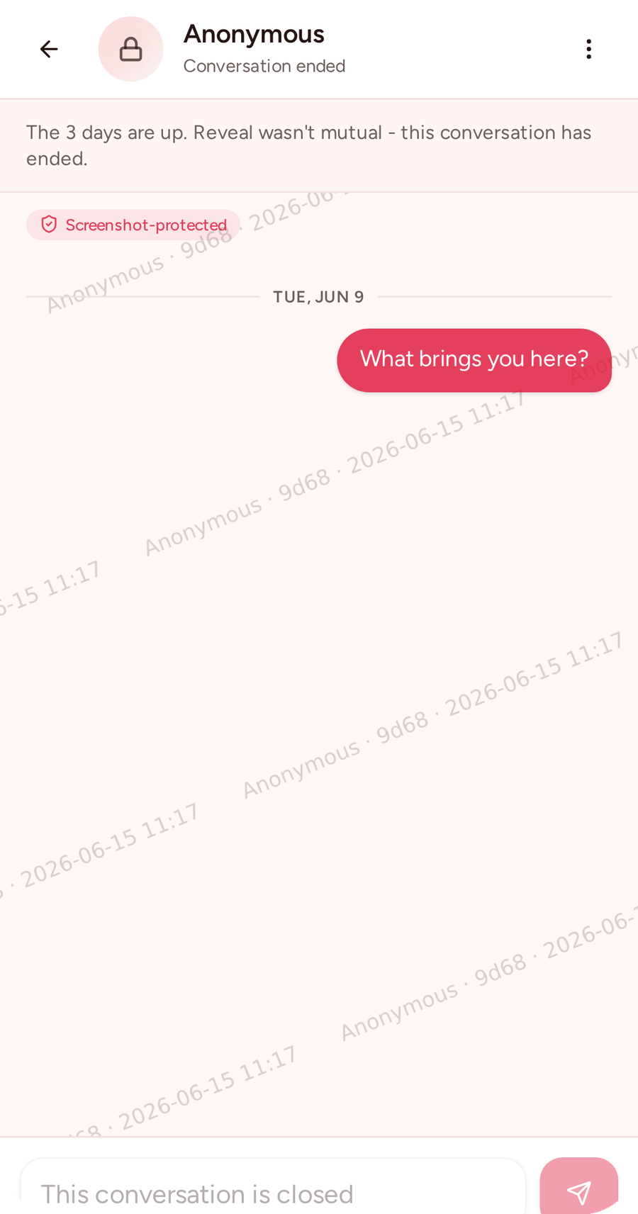 Anonymous 3-day chat with Wali observing
